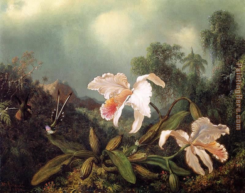 Jungle Orchids and Hummingbirds painting - Martin Johnson Heade Jungle Orchids and Hummingbirds art painting